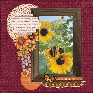 Fading Sunflowers 9-5-24