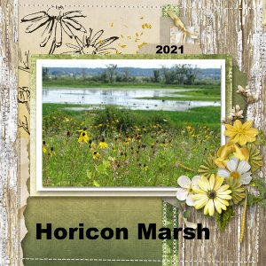 Horicon Marsh