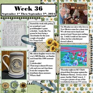 Project 365 Challenge - Week 36