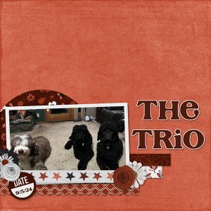 The Trio