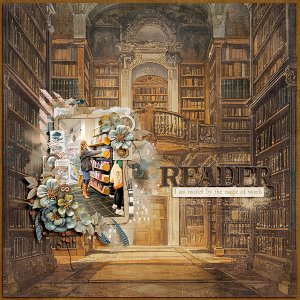 The Reader