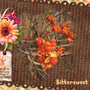 2024-09-designer spotlight challenge