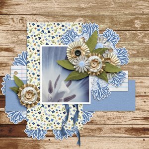 Blue Tulip