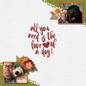 Love of a Dog
