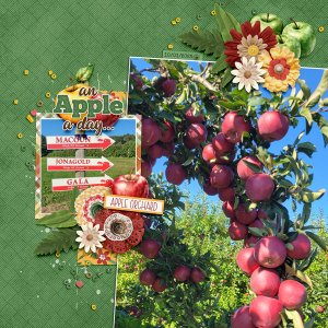 Windy Hill Apple Pickin