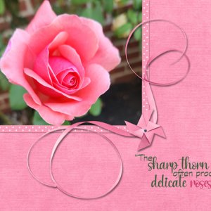 The Sharp Thorn