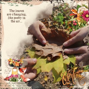 the leaves are changing