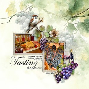 Winery-trip