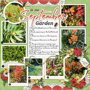 September Garden