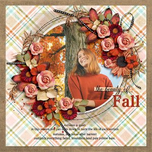 The Beauty of Fall