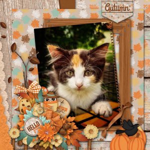 Happy Fall