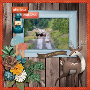 Glorious-autumn4