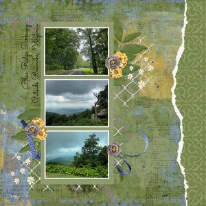 Blue Ridge Parkway Beauty