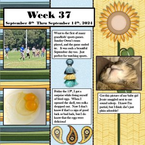 Project 365 Challenge - Week 37