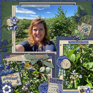 Blueberry Fields