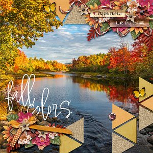 fall colors