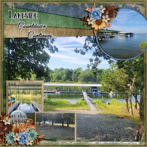 Time to mow the lake lot again...4 years to go 7.29.2023
