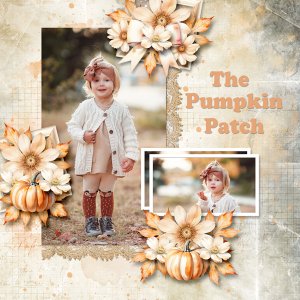 Fall Day