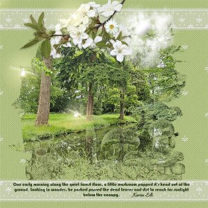 Baddesley Clinton Forest