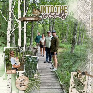 Into Woods