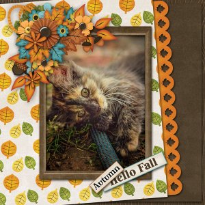 Hello Fall