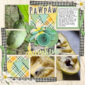 Paw Paw Fruit
