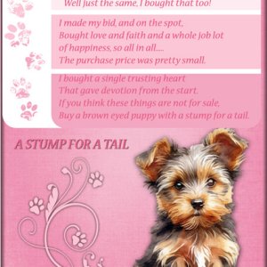 A STUMP FOR A TAIL
