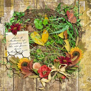 Signs of Autumn