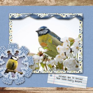 Bird and Blossoms