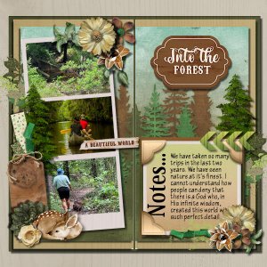 Into The Forest