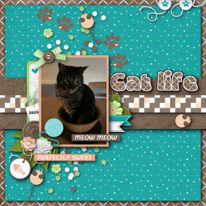 Cat Life