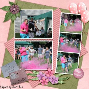 Reveal Party  Twins  Baby B