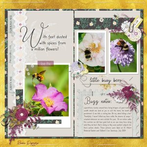 TN - Bee story