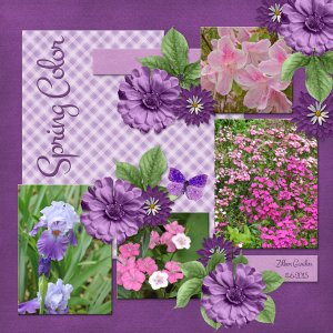 Spring Color