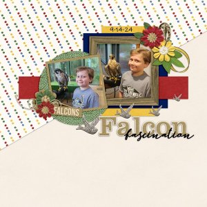Falcon_Fasination_9-14-24_small
