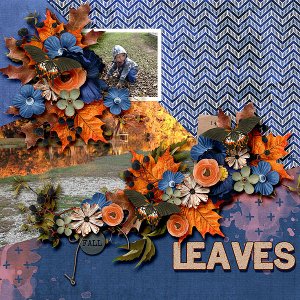Leaves