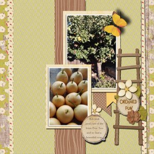 Asian Pears 2