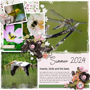 Summer 2024
