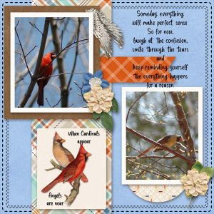 Cardinals3