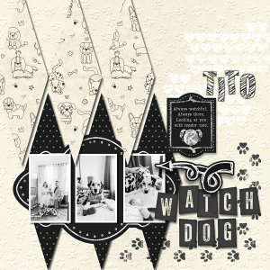 Watch Dog