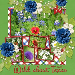 Wild about Texas