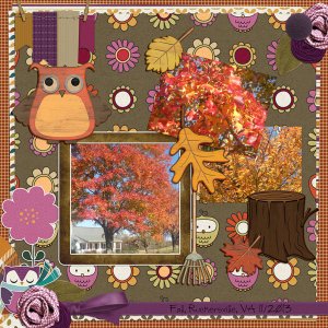 Fall Beauty