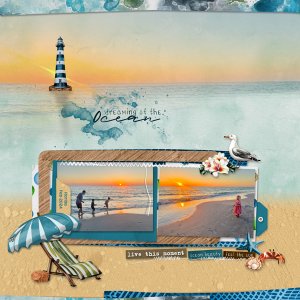 Dreaming of the Ocean