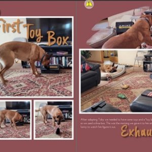 First toy box