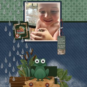 Outdoor Swamp from Designs by Connie Prince
