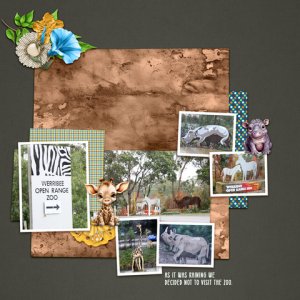 600-lisaminor-zoo-adventures-marlyn-01