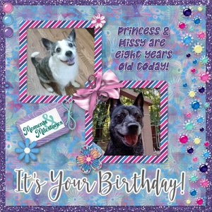 Happy B-day Missy + Princess
