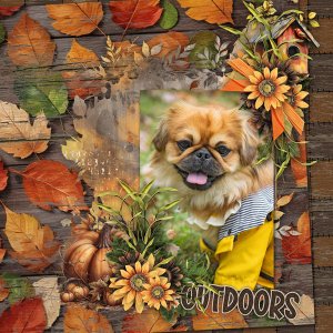 Autumn