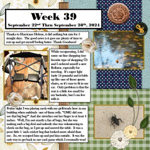 Project 365 Challenge - Week 39