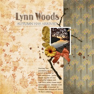 Lynn Woods 2020